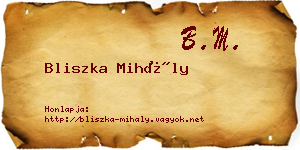 Bliszka Mihály névjegykártya